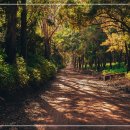 연세나루정신건강의학과의원 이미지