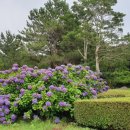 대유랜드입구 이미지