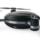 릴리(Lily) 이미지