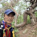 Re:9정맥11차＜34＞낙동4(한티재~이티재).. 보충산행 이미지