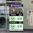 백양초등학교 이미지