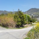 신창길2 이미지