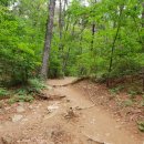 석성산 등산로 이미지