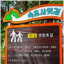 속초사잇길 제4길 이미지