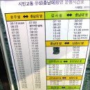 진잠초교 이미지