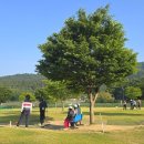 무태파크골프장(신규) 이미지