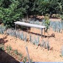 길원농장 이미지