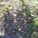 늘솔길민박 이미지