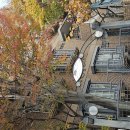 불멸의 씨앗 이미지