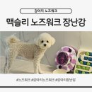 주식회사 그린코워크 | 강아지 노즈워크 내돈내산 후기 맥슬리 강아지 노즈워크 추천
