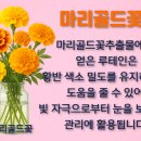 메디칼현대약국 이미지