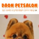 다온펫 이미지