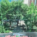 2020 여름맞이 북캉스 | [카페에서 즐기는 논제연구] 윤단비 감독 &lt;남매의 여름밤&gt; 각본집 모임 후기 (feat. 합 원서점)