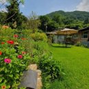 관아 수제차 이미지