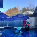 용평사우나1 | 모나 용평 워터파크 할인 받고 겨울 오픈런 후기, 가격·준비물·동선 전체 정리