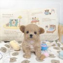 꽃강아지 이미지