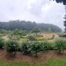 무궁화파크 이미지