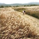 힐링&헬스 이미지