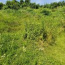 고미마을회관 이미지