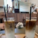 투어카페주
