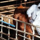 병인농장 이미지