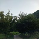 지리산물푸레흙집펜션 네이버블로그