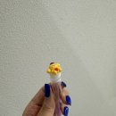 유 여성 사우나 | [화정동속눈썹] 아로유뷰티에서 여름 필수템 LED연장 시술 리얼후기