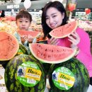 강서1통 이미지