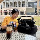 벨라애견카페 | 일산 야외카페 반려견 동반 카페노이 벨라시타 느좋 테라스 유럽감성..