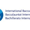 IB 소프트 이미지