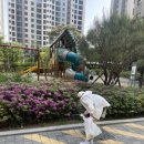 드래곤태권도 이미지