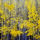 도리내마을 이미지