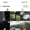 스테이골드필름