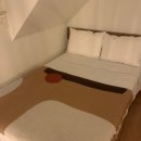 아델리아 이미지