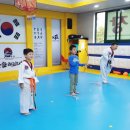 조한태권도장 이미지