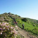 소백산 - 용인시 수지구 문정로 13 | 소백산