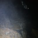 강원소방학교 소방관 합동 구조 교육 일정 이미지