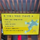 브래그펍