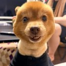 (주)아울렛마트 이미지