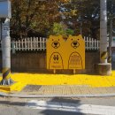 횡단보도옐로카펫 이미지