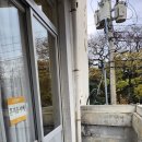 송키 | 제주 도주제분식: 볶은 야채 송키김밥 & 튀김 어묵 떡볶이