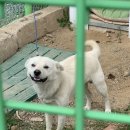 외갓집추어탕 이미지