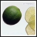 포항전자담배멀티샵페로젠 | 프라자 잠실점] 저렴한 솔루션 "퀵닉쥬스" 종류 종정리 (신규미국액상) -송파 잠실 전자담배액상 멀티샵-