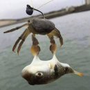 목포복집 이미지