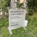 그랑캔들