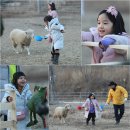 수진목장 이미지