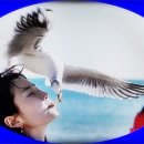 안면도N 이미지