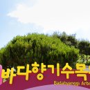 바다향기수목원(장미원) 이미지