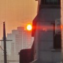 [공지] ✨ 좋은 법무사 고르는 실질적인 팁 + 이런 법무사는 피하세요❗