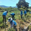 운봉읍 산덕마을 이미지